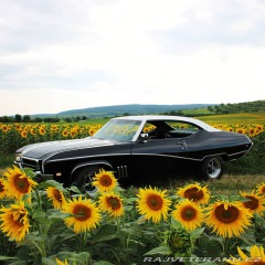 Buick Skylark  1969