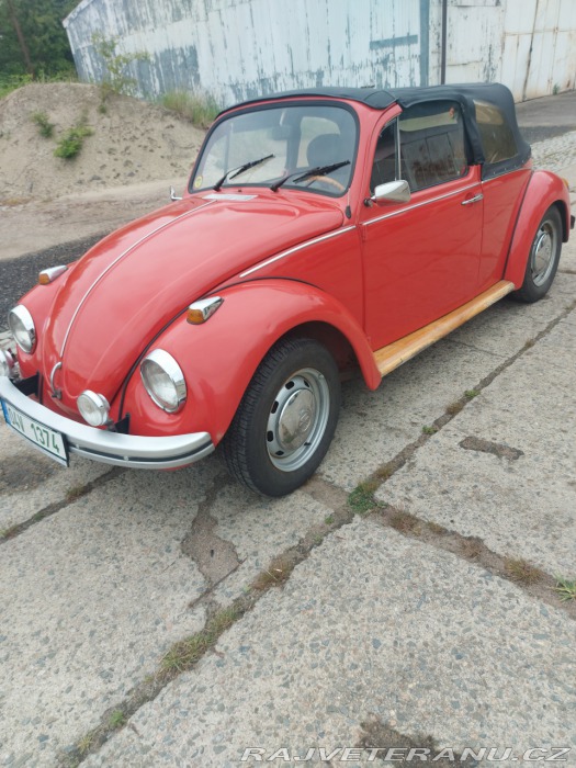 Volkswagen Brouk A 11