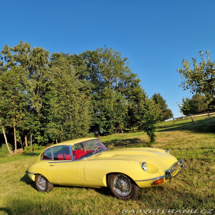 Jaguar E-Type Jaguar E-Type 1 serie 4,2