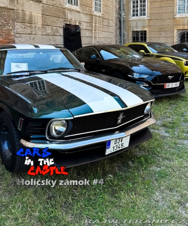 Ford Mustang Hard top 1970