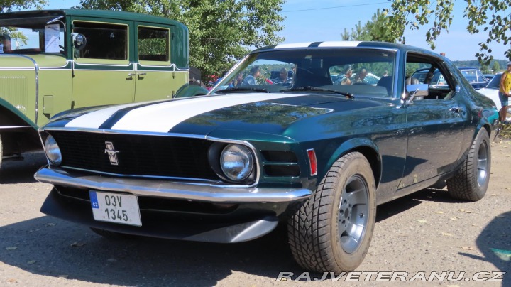 Ford Mustang Hard top 1970