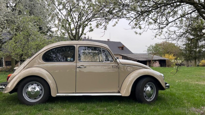 Volkswagen Brouk 11