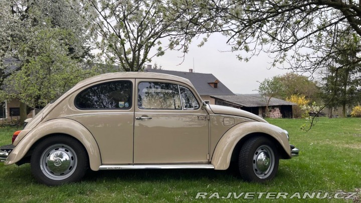 Volkswagen Brouk 11 1973