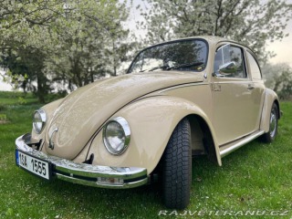 Volkswagen Brouk 11 1973