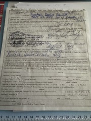 Cadillac Eldorado 1982