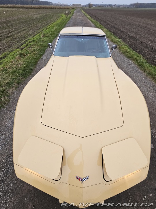 Chevrolet Corvette C3 1976