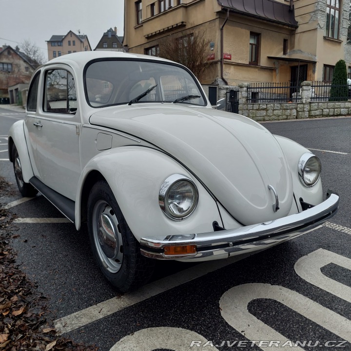 Volkswagen Brouk 1974