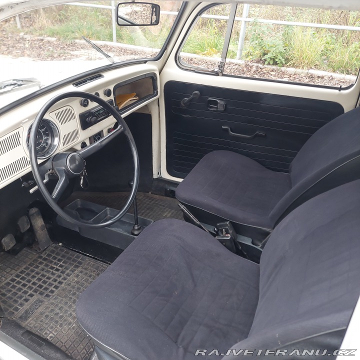 Volkswagen Brouk 1974