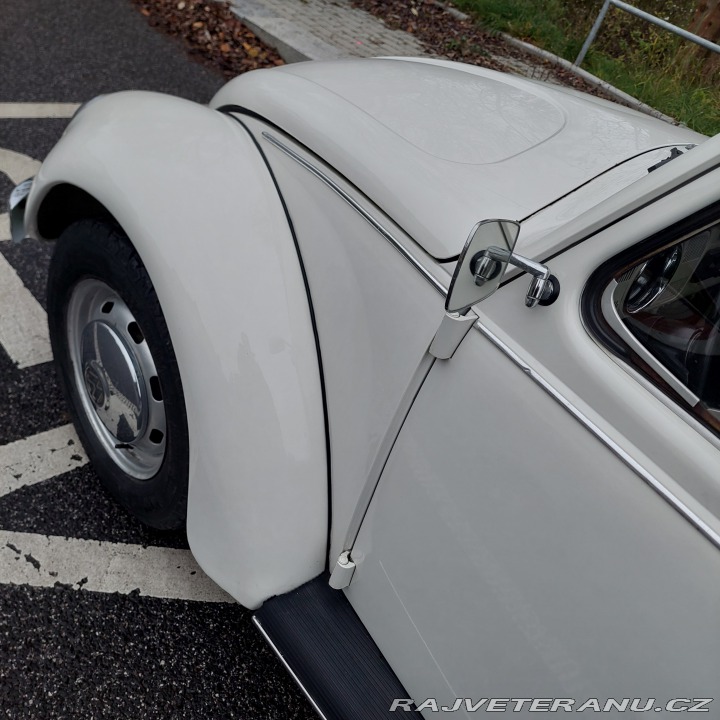 Volkswagen Brouk 1974