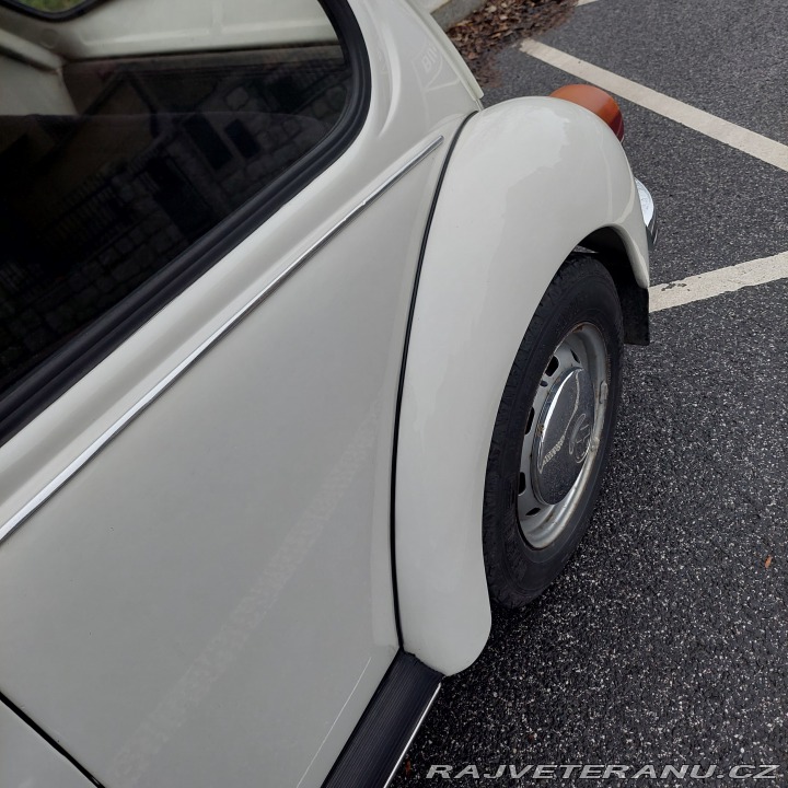 Volkswagen Brouk 1974