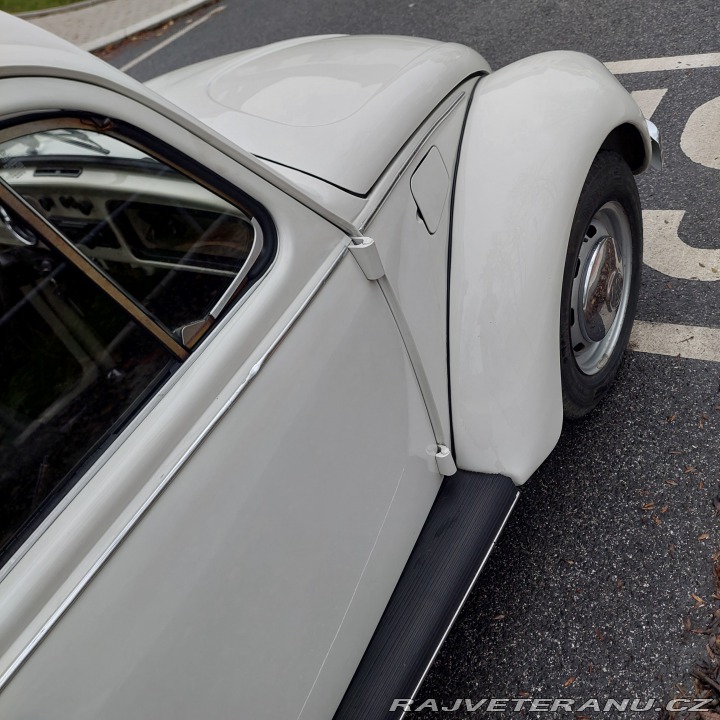 Volkswagen Brouk 1974