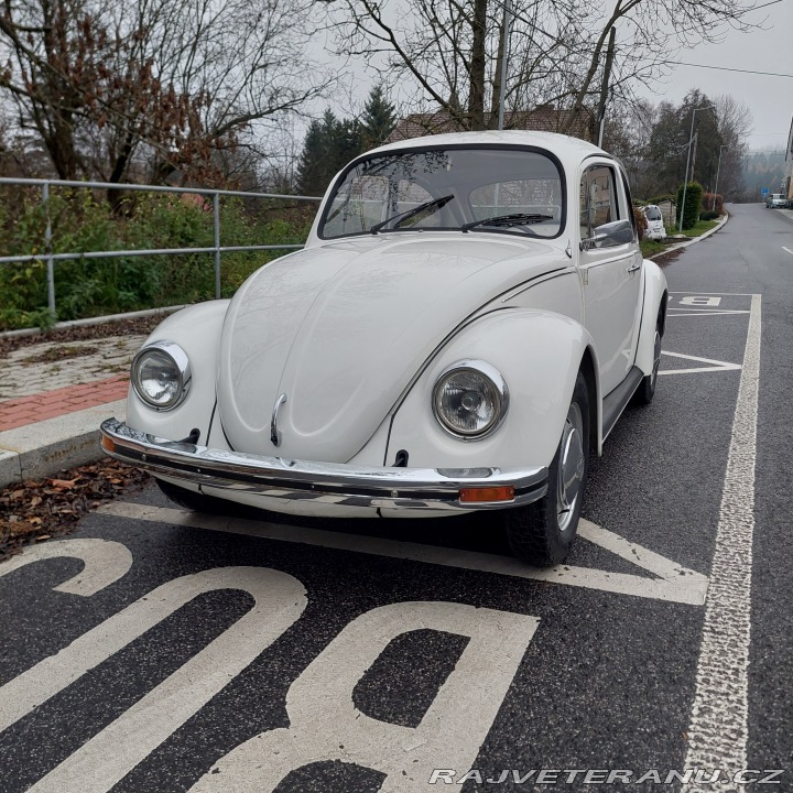 Volkswagen Brouk 1974