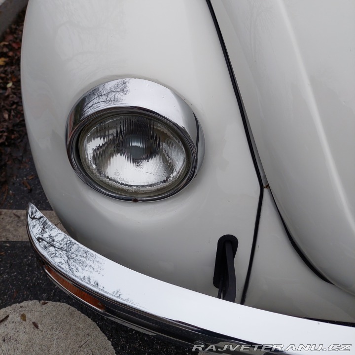 Volkswagen Brouk 1974