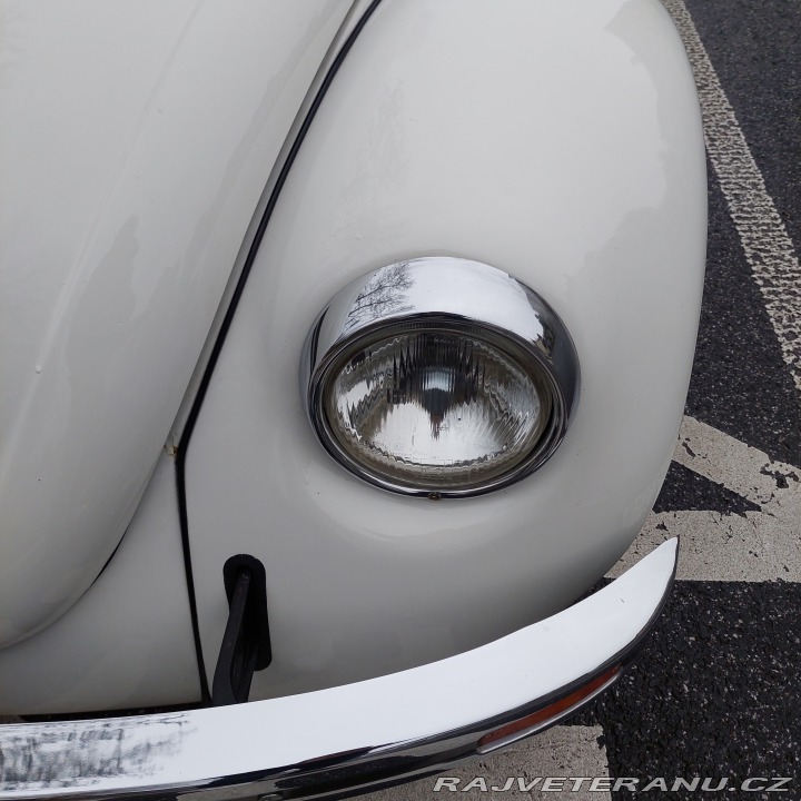 Volkswagen Brouk 1974