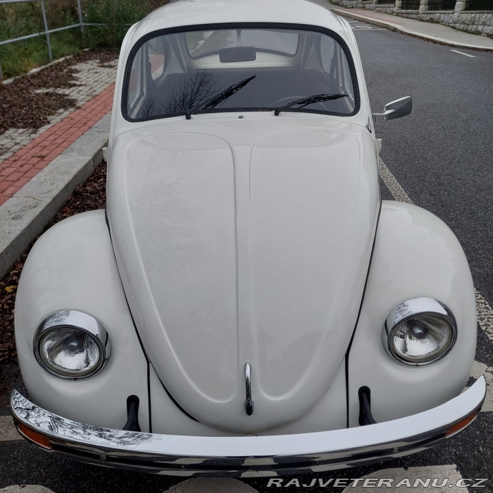 Volkswagen Brouk 1974