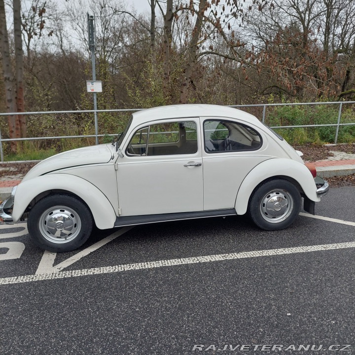 Volkswagen Brouk 1974