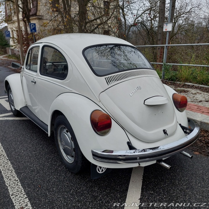 Volkswagen Brouk 1974