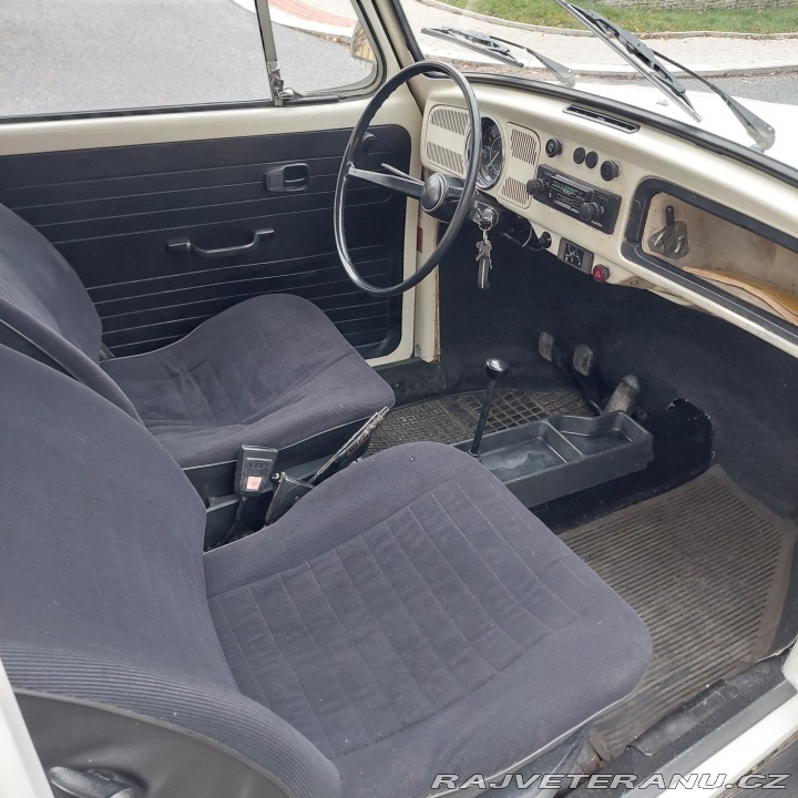 Volkswagen Brouk 1974