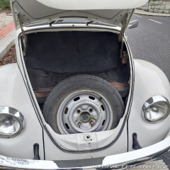 Volkswagen Brouk 1974