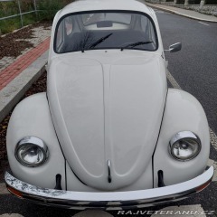 Volkswagen Brouk 1974