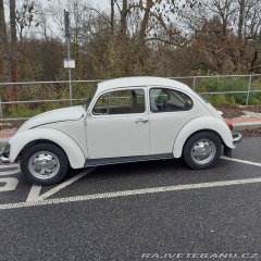 Volkswagen Brouk 1974