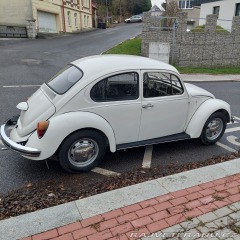 Volkswagen Brouk 1974