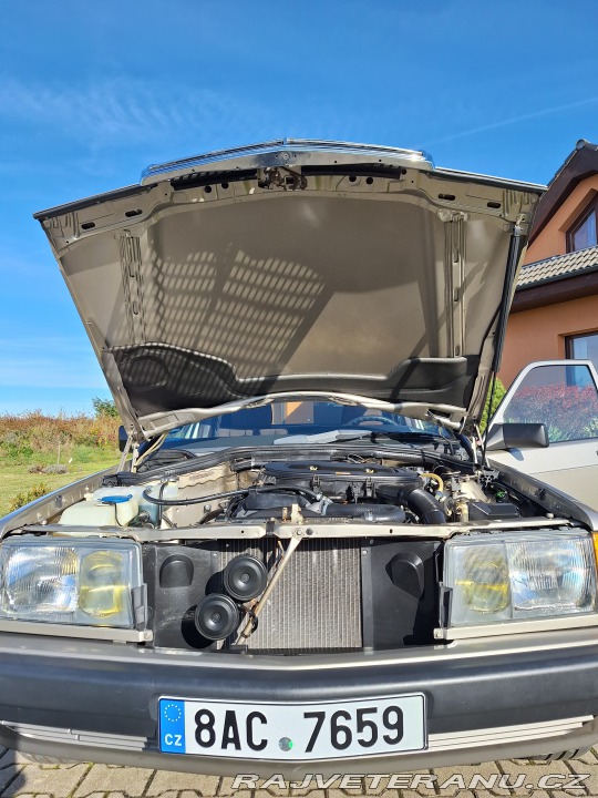 Mercedes-Benz 190 1989