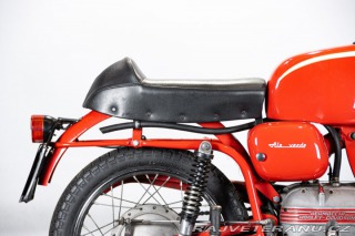 Ostatní značky Ostatní modely Aermacchi - Harley Davidson 250 ALA VERDE 1964