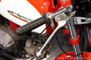 Ostatní značky Ostatní modely Aermacchi - Harley Davidson 250 ALA VERDE 1964