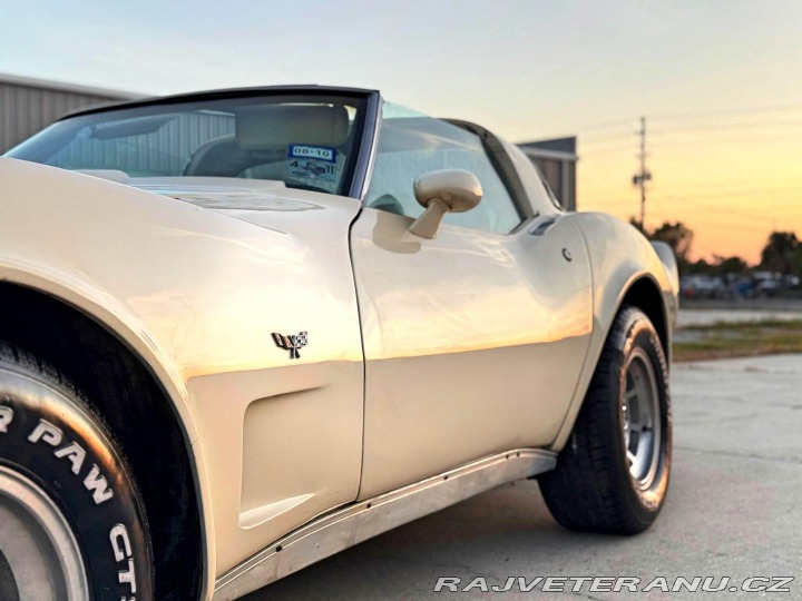 Chevrolet Corvette L82 | 5.7 V8 1979