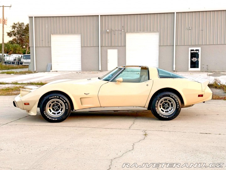 Chevrolet Corvette L82 | 5.7 V8 1979