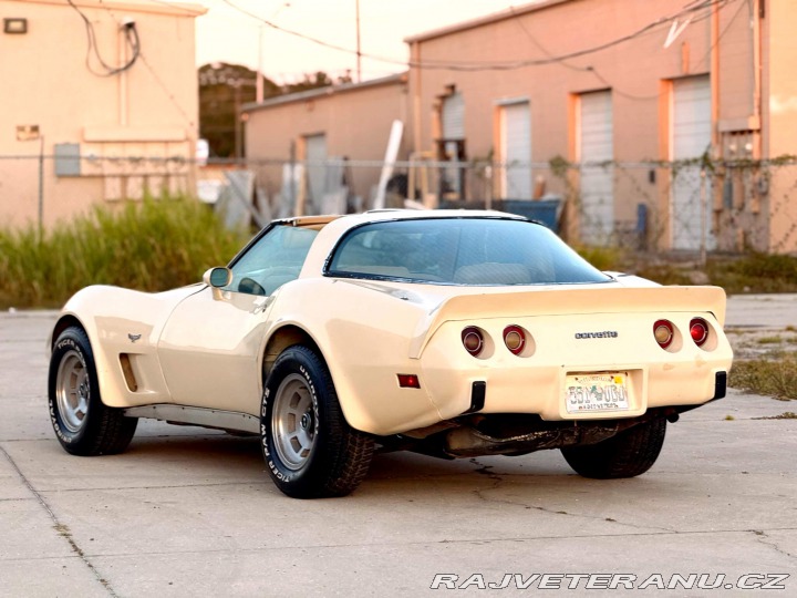 Chevrolet Corvette L82 | 5.7 V8 1979