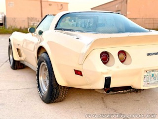Chevrolet Corvette L82 | 5.7 V8 1979
