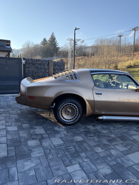 Pontiac Trans Am 4,9 turbo 1980