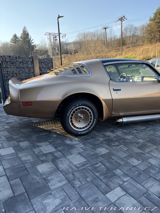 Pontiac Trans Am 4,9 turbo 1980