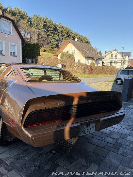 Pontiac Trans Am 4,9 turbo 1980