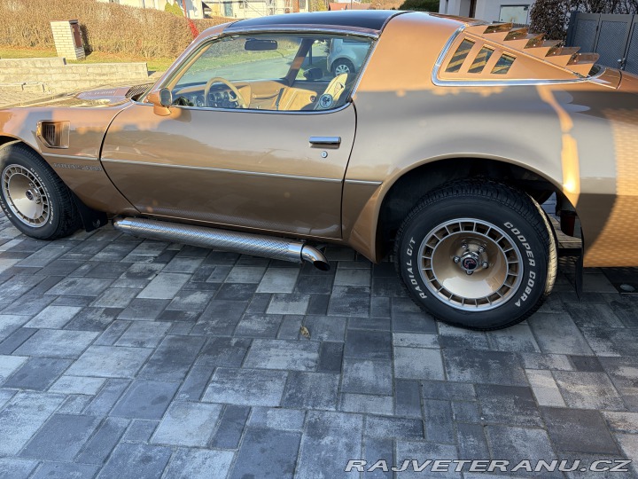 Pontiac Trans Am 4,9 turbo 1980