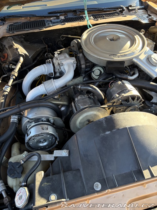 Pontiac Trans Am 4,9 turbo 1980