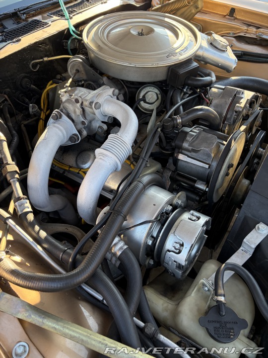 Pontiac Trans Am 4,9 turbo 1980