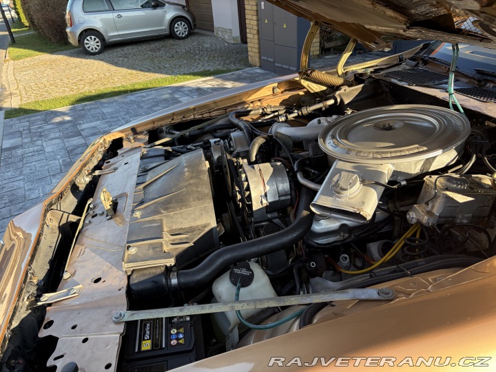 Pontiac Trans Am 4,9 turbo 1980