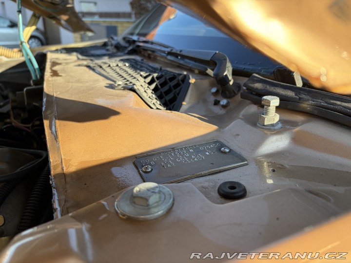 Pontiac Trans Am 4,9 turbo 1980