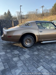 Pontiac Trans Am 4,9 turbo 1980