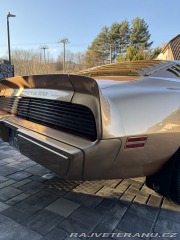 Pontiac Trans Am 4,9 turbo 1980