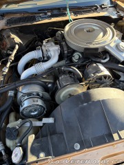 Pontiac Trans Am 4,9 turbo 1980