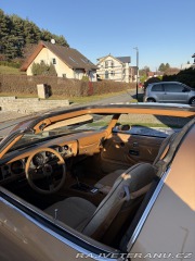 Pontiac Trans Am 4,9 turbo 1980