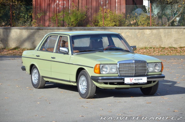 Mercedes-Benz 300 W123 300D 1976