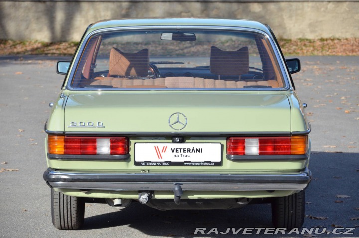 Mercedes-Benz 300 W123 300D 1976