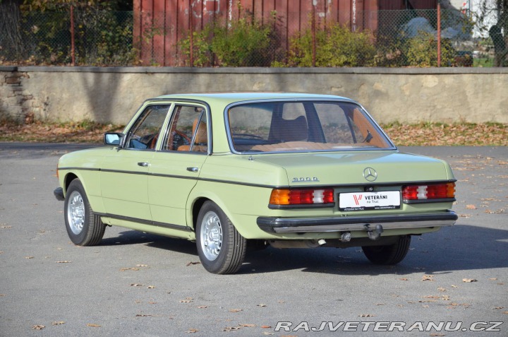 Mercedes-Benz 300 W123 300D 1976