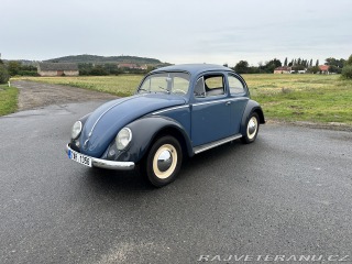 Volkswagen Brouk 11 deluxe