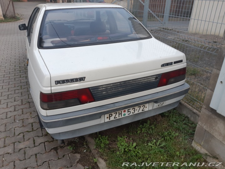 Peugeot 405 19 D 1982